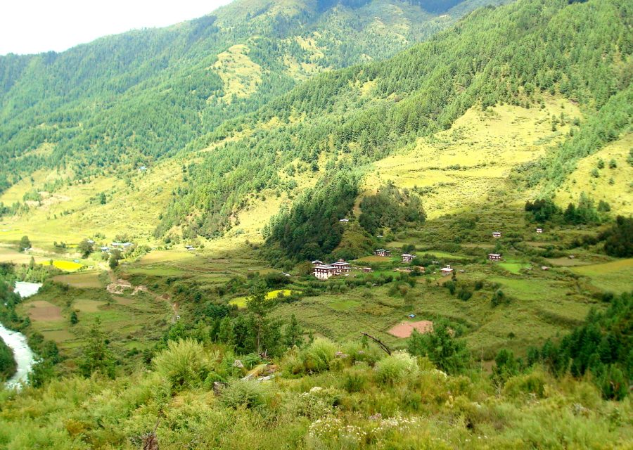 A green valley in summer with scattered farmhouses and a river running through it