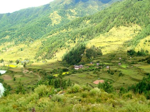 A green valley in summer with scattered farmhouses and a river running through it