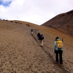 Walkers climbing a steep section